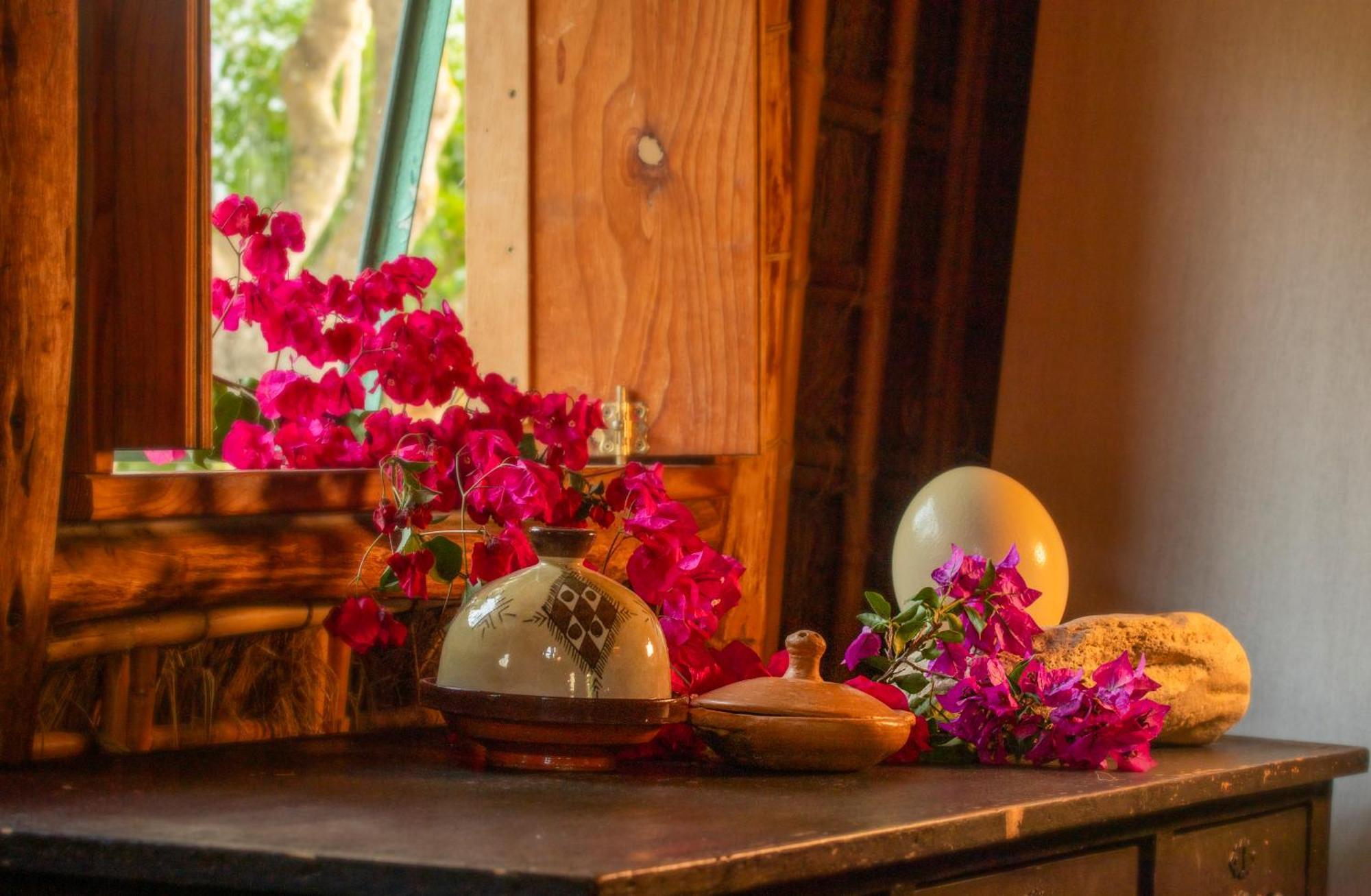 ロス・カーニョス・デ・メカCasas Karenアパートメント エクステリア 写真
